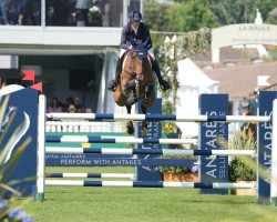 jumper Sidney Sam B (Holsteiner, 2013, from Singulord Joter)
