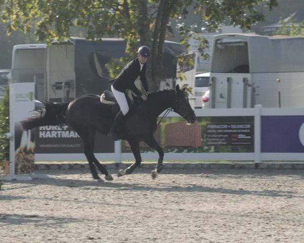 Reitturnier Babenhausen 2023