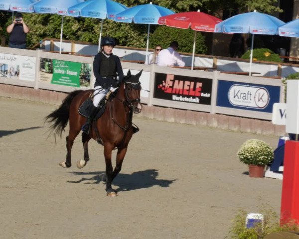 Reitturnier Winterlingen 2023