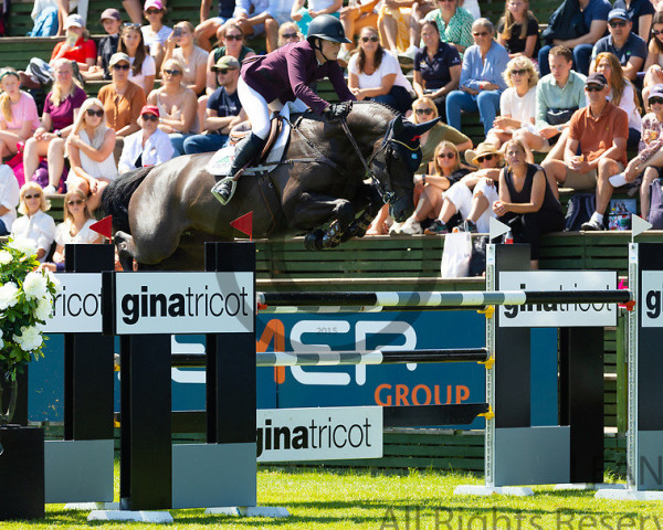 jumper Canbella Blue PS (Hanoverian, 2014, from Cantolar)