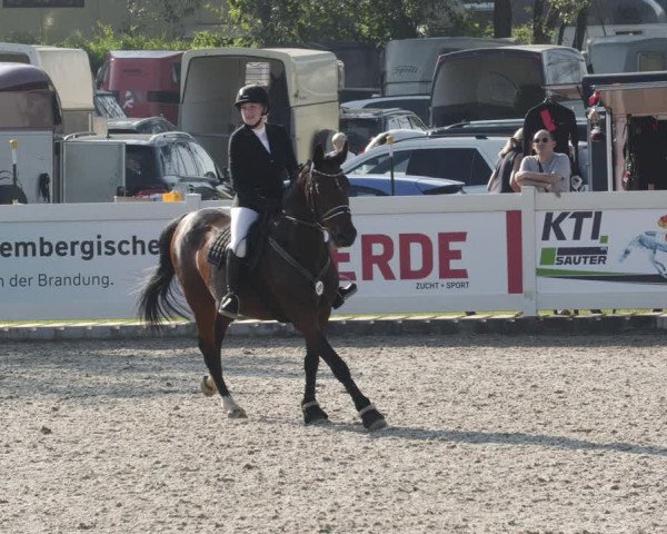 Reitturnier Babenhausen 2023