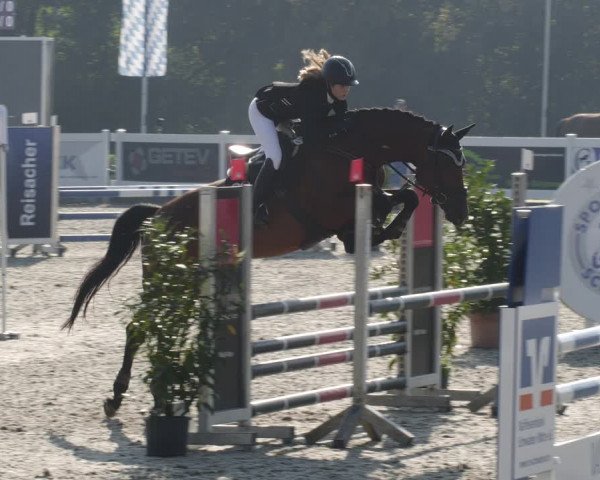 Reitturnier Babenhausen 2023