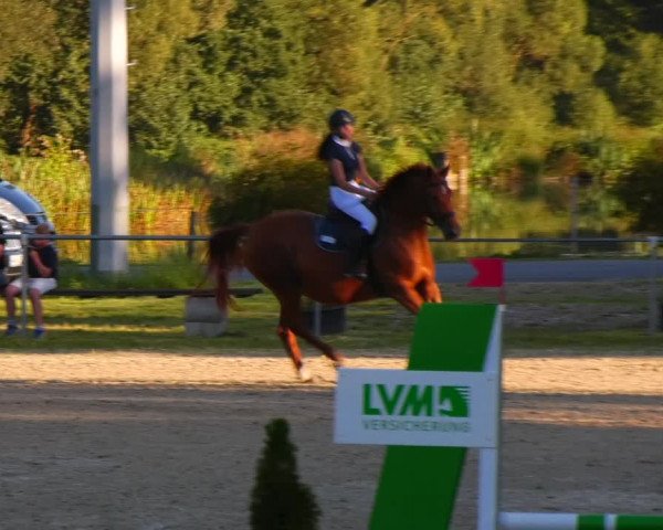 Reitturnier Bad Liebenstein/Sorga 2023