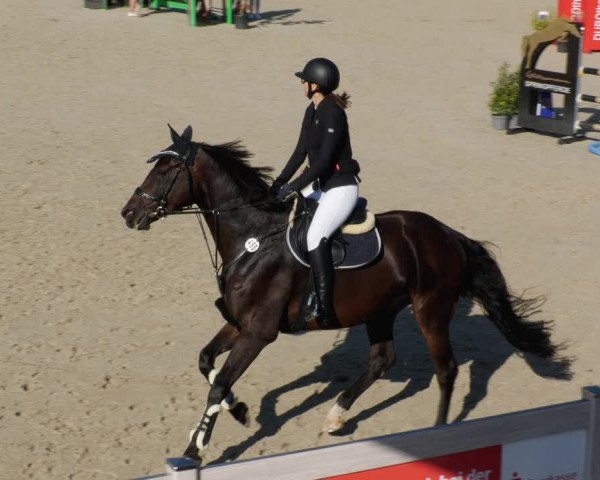 Reitturnier Winterlingen 2023