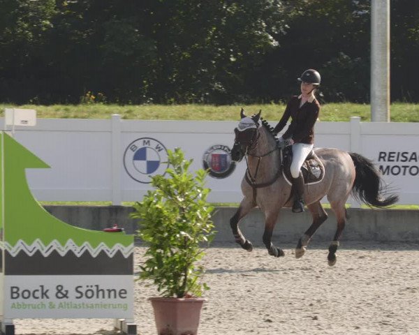 Reitturnier Babenhausen 2023