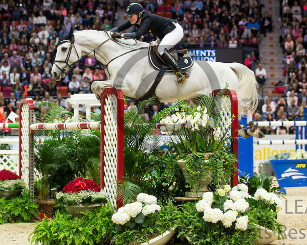 Springpferd Titan (Schwedisches Warmblut, 2003, von Camaro M)