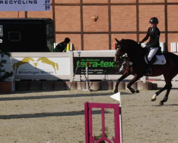 Reitturnier Winterlingen 2023