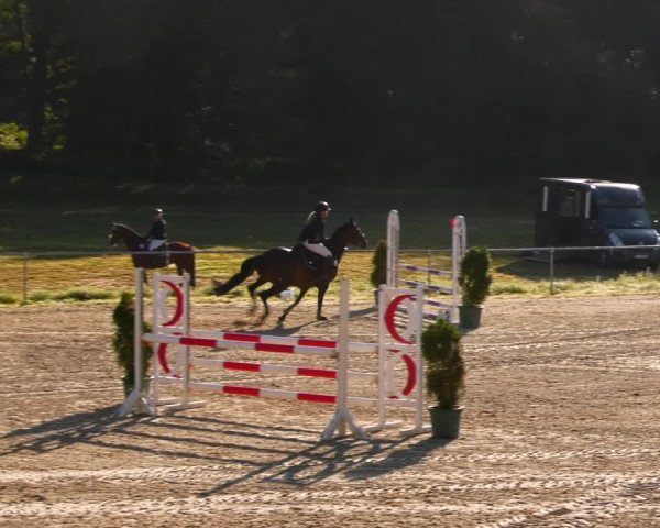 Reitturnier Bad Liebenstein/Sorga 2023