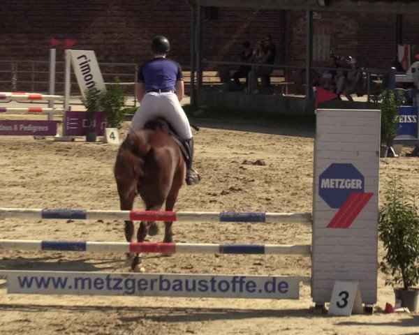 Reitturnier Dortmund-Barop 2023