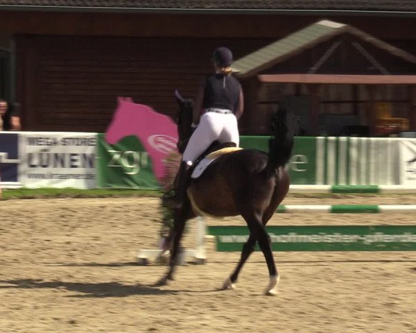 Reitturnier Dortmund-Barop 2023