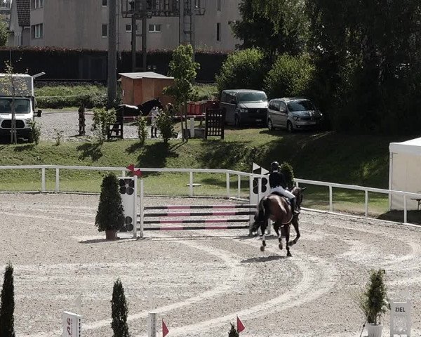 Pferdesporttage Bülach 2021