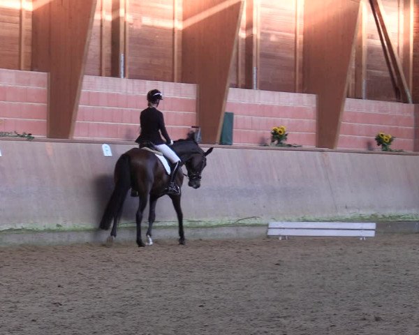 Reitturnier Dortmund-Barop 2023