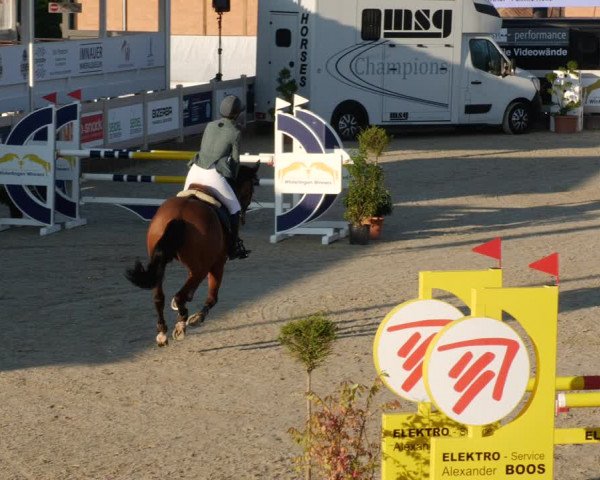 Reitturnier Winterlingen 2023
