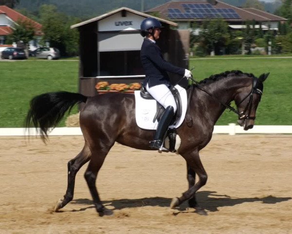 Reitturnier Babenhausen 2023