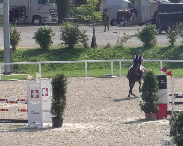 Reitturnier Bülach 2023