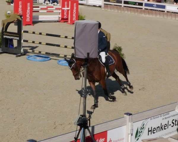 Reitturnier Winterlingen 2023