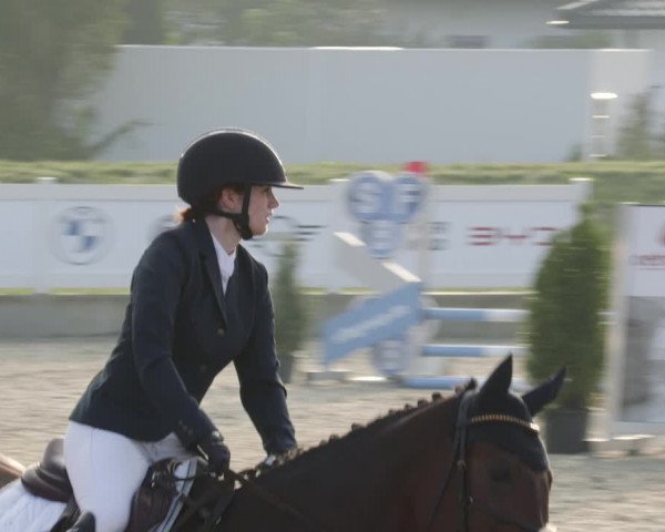 Reitturnier Babenhausen 2023