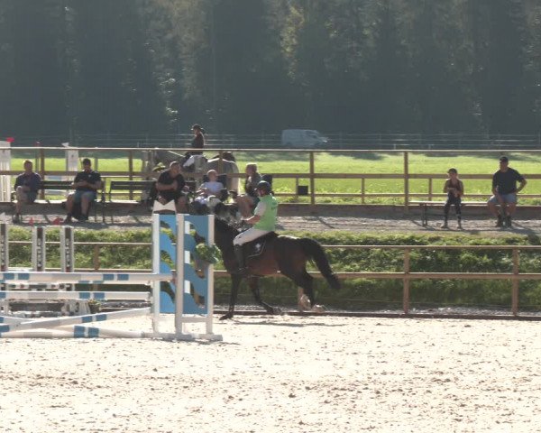 Reitturnier St. Ulrich am Pillersee 2023