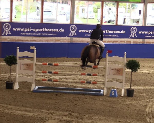 Euregio Springturnier Isterberg 2021