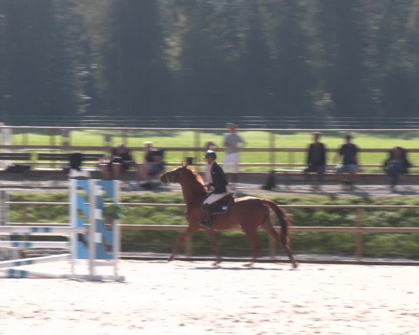 Reitturnier St. Ulrich am Pillersee 2023