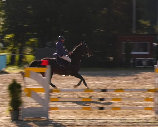 Reitturnier Bad Liebenstein/Sorga 2023