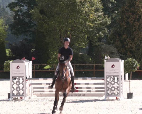 Reitturnier St. Ulrich am Pillersee 2023