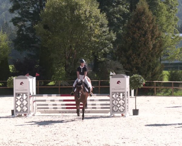Reitturnier St. Ulrich am Pillersee 2023