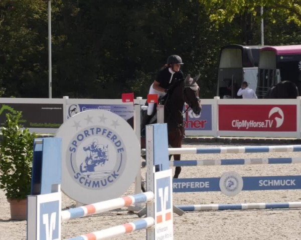 Reitturnier Babenhausen 2023