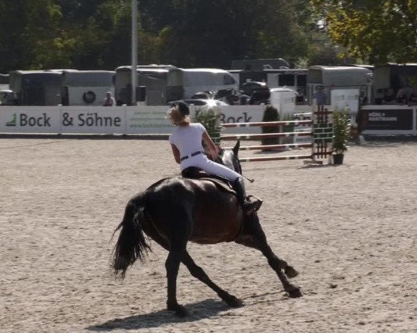 Reitturnier Babenhausen 2023