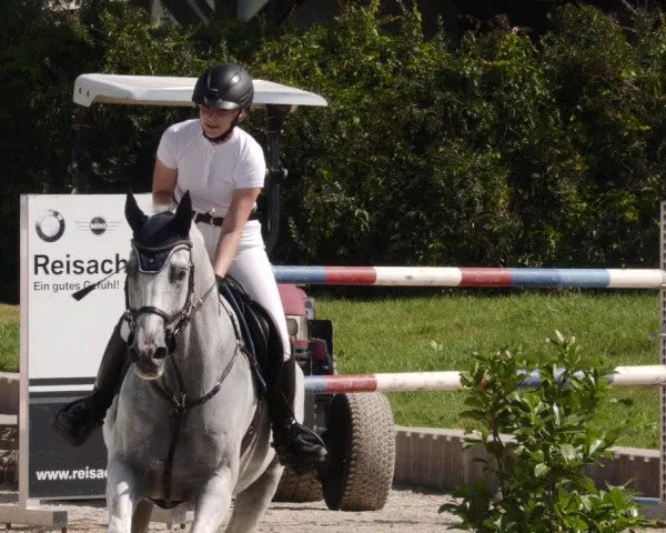 Reitturnier Babenhausen 2023