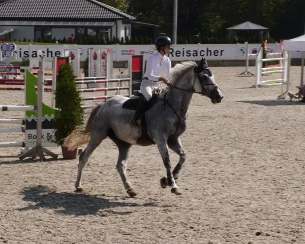 Reitturnier Babenhausen 2023