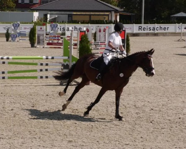 Reitturnier Babenhausen 2023
