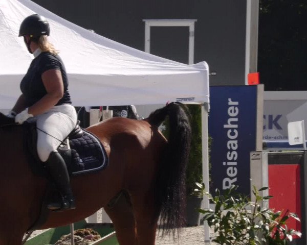 Reitturnier Babenhausen 2023