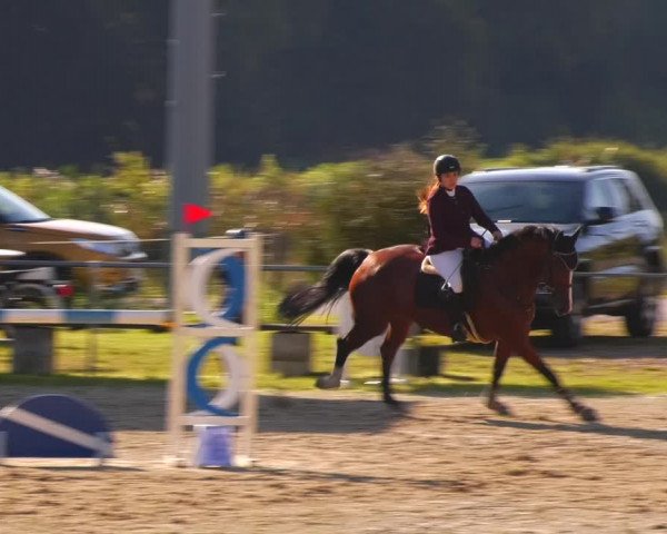 Reitturnier Bad Liebenstein/Sorga 2023