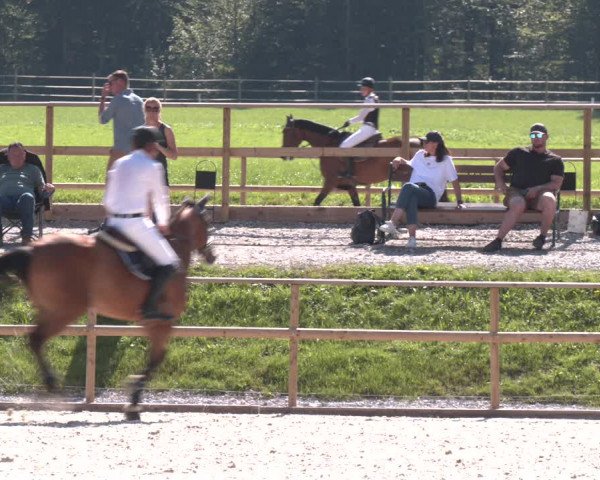 Reitturnier St. Ulrich am Pillersee 2023