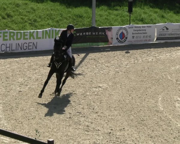 Reitturnier Leichlingen-Witzhelden 2023