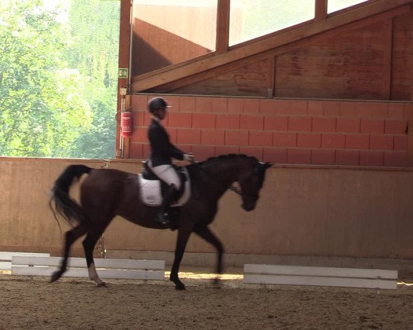 Reitturnier Dortmund-Barop 2023