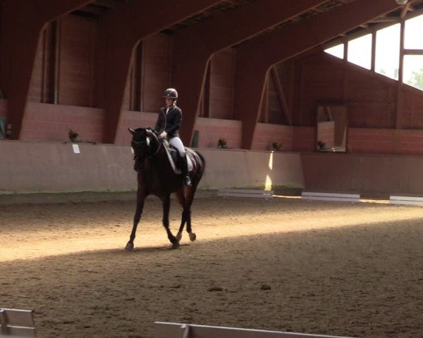 Reitturnier Dortmund-Barop 2023