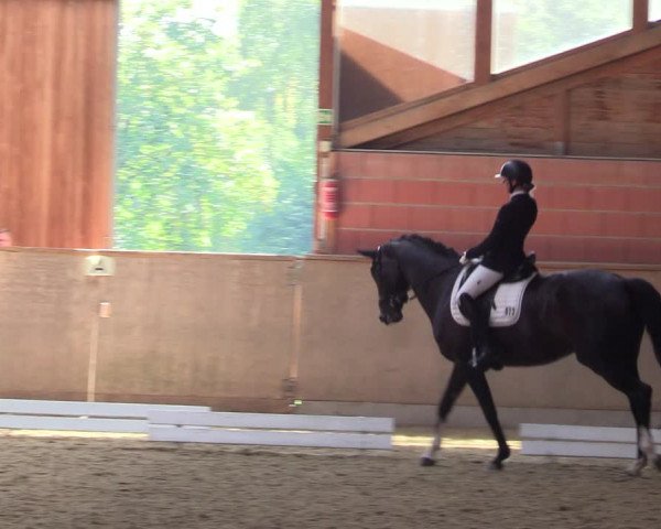 Reitturnier Dortmund-Barop 2023