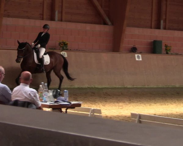 Reitturnier Dortmund-Barop 2023