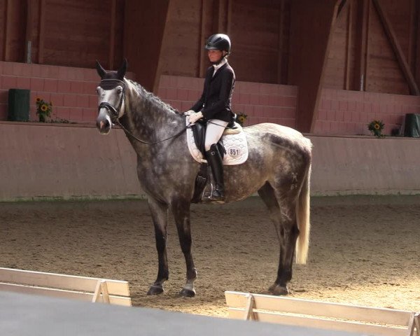 Reitturnier Dortmund-Barop 2023