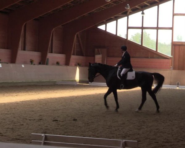 Reitturnier Dortmund-Barop 2023