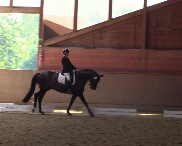 Reitturnier Dortmund-Barop 2023
