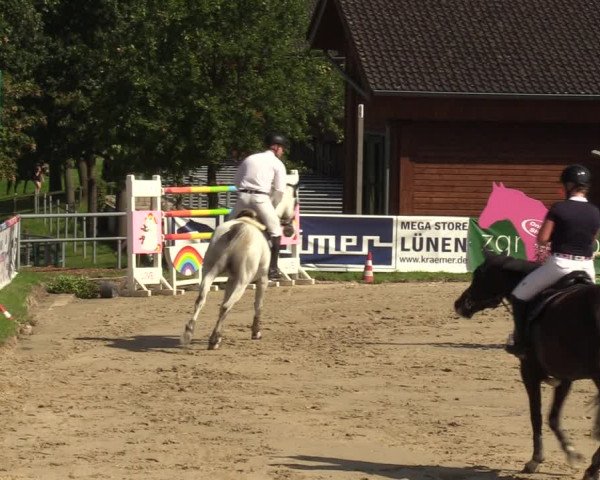 Reitturnier Dortmund-Barop 2023