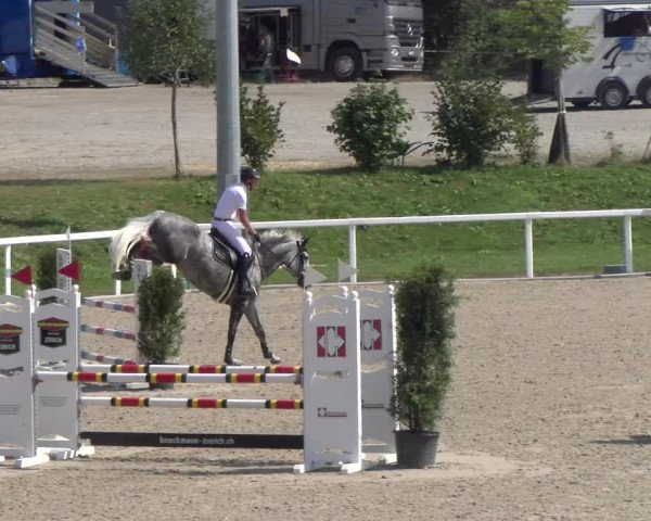 Reitturnier Bülach 2023