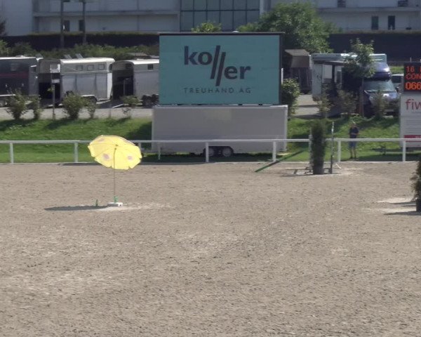 Reitturnier Bülach 2023