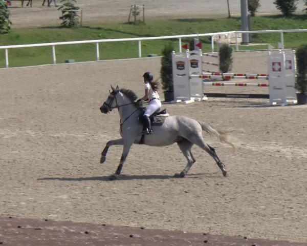 Reitturnier Bülach 2023