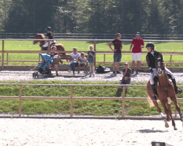 Reitturnier St. Ulrich am Pillersee 2023