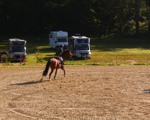 Reitturnier Bad Liebenstein/Sorga 2023