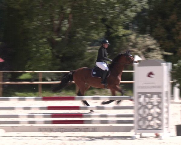 Reitturnier St. Ulrich am Pillersee 2023